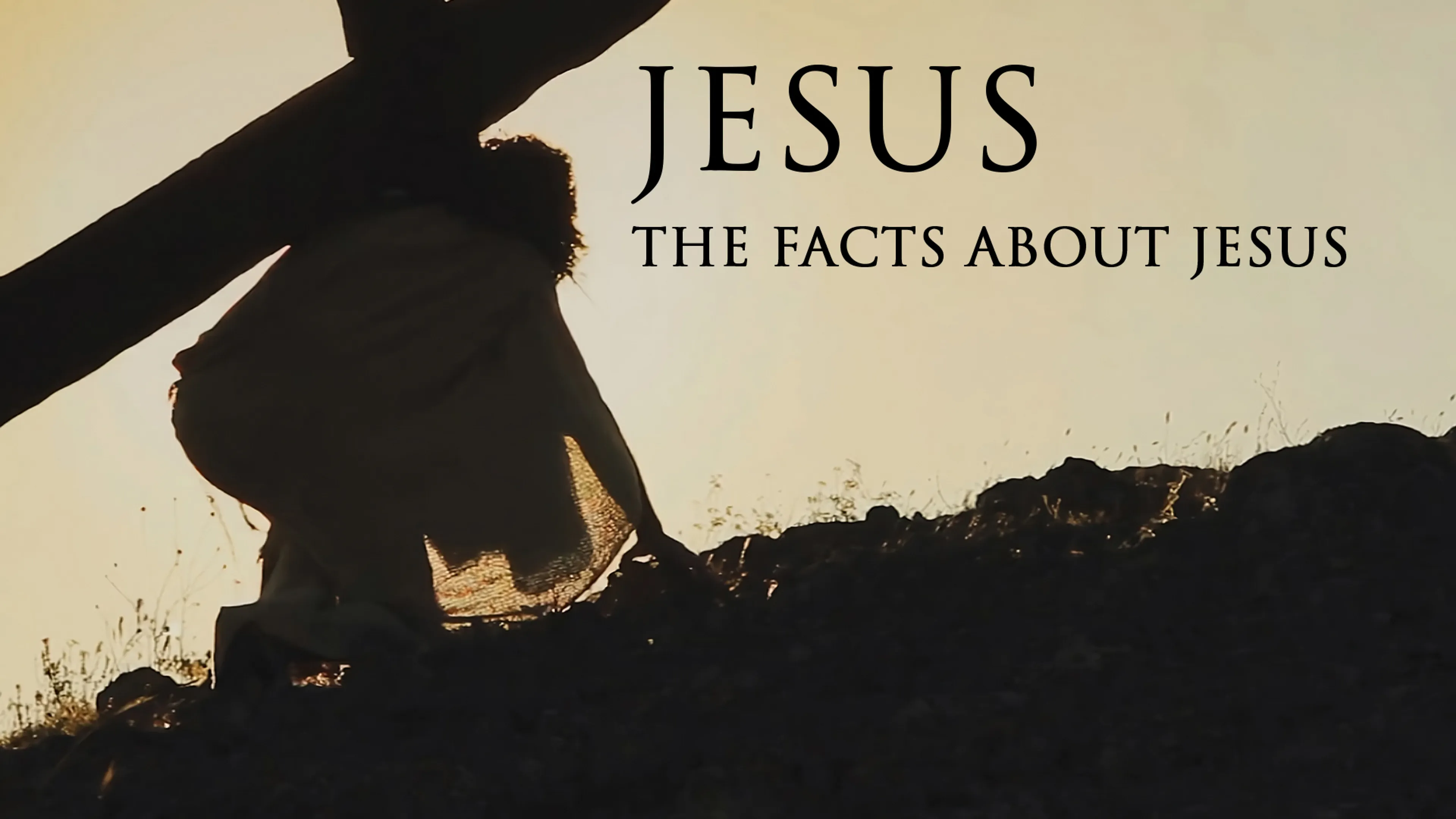 Jesus: The Facts About Jesus poster